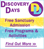 Discovery Days