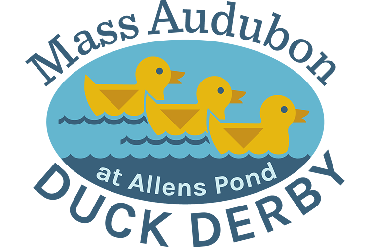 Allens Pond Duck Derby logo