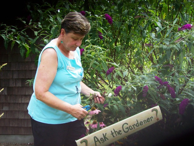 Barbara Murphy in Garden