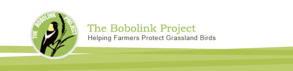 The Bobolink Project