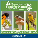 Fund for Nature Spring