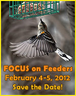 Focus on Feeders 2012
