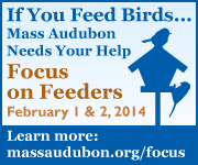 Focus on Feeders 2014