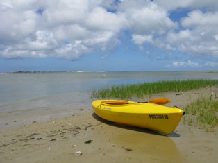 Canoe or Kayak with Mass Audubon