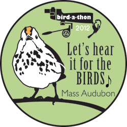 Birdathon 2012