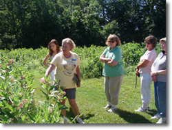 Teachers Exploring Garden