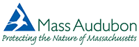 MAS Logo 200px