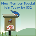New member special join today for $32