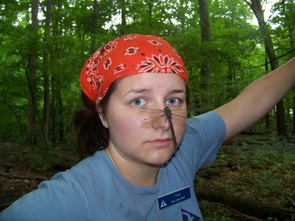 Moth, Broad Meadow Brook Summer Camp Counselor