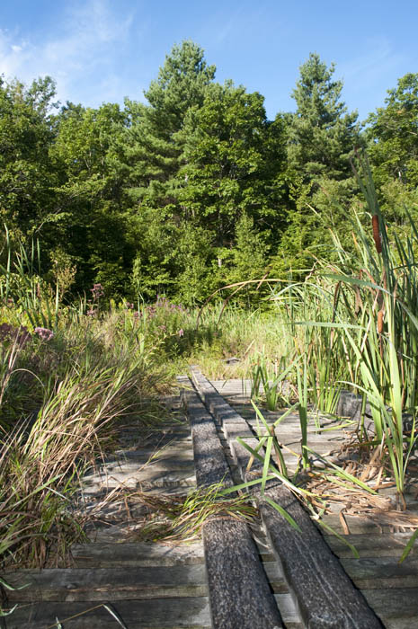 Silbey Farm photo by Nathan Goshgarian