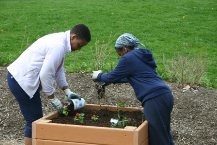 Garden Volunteers