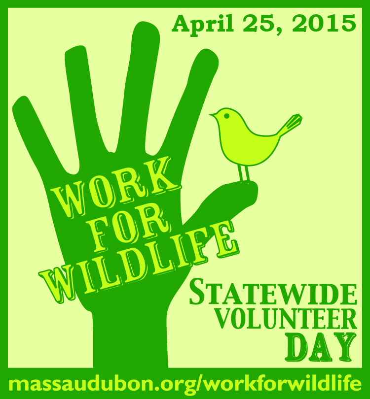 Statewide Volunteer Day 2015