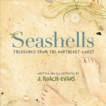 Cover of Seashell Treasures Book - Credit Joanne Roach-Evans