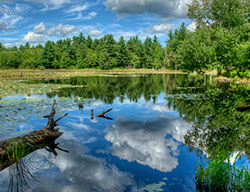 Beaver Lake at Sibley Farm, Spencer