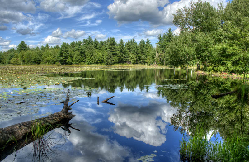 Sibley Farm