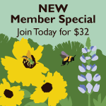 Spring New Member Special - Join for $32