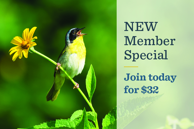 Spring 2019 - New Member Special - Join for $32