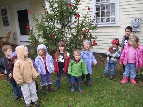 Preschoolers Decorate Tree for Birds and Squirrels