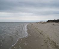 Beach Image USFWS