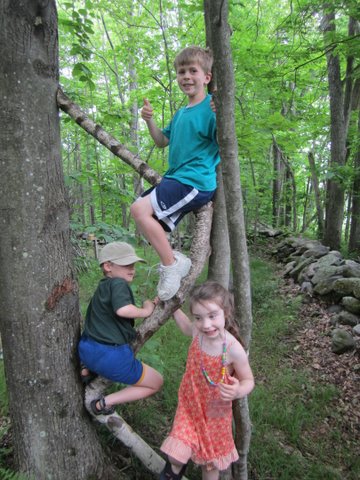 WM children enjoying climbing in nature play area