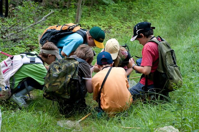 Children Looking at Something Cool