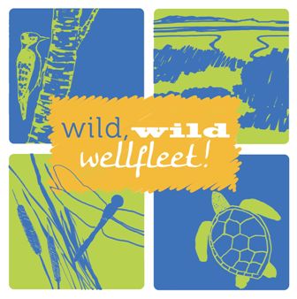 Wild Wild Wellfleet 2012