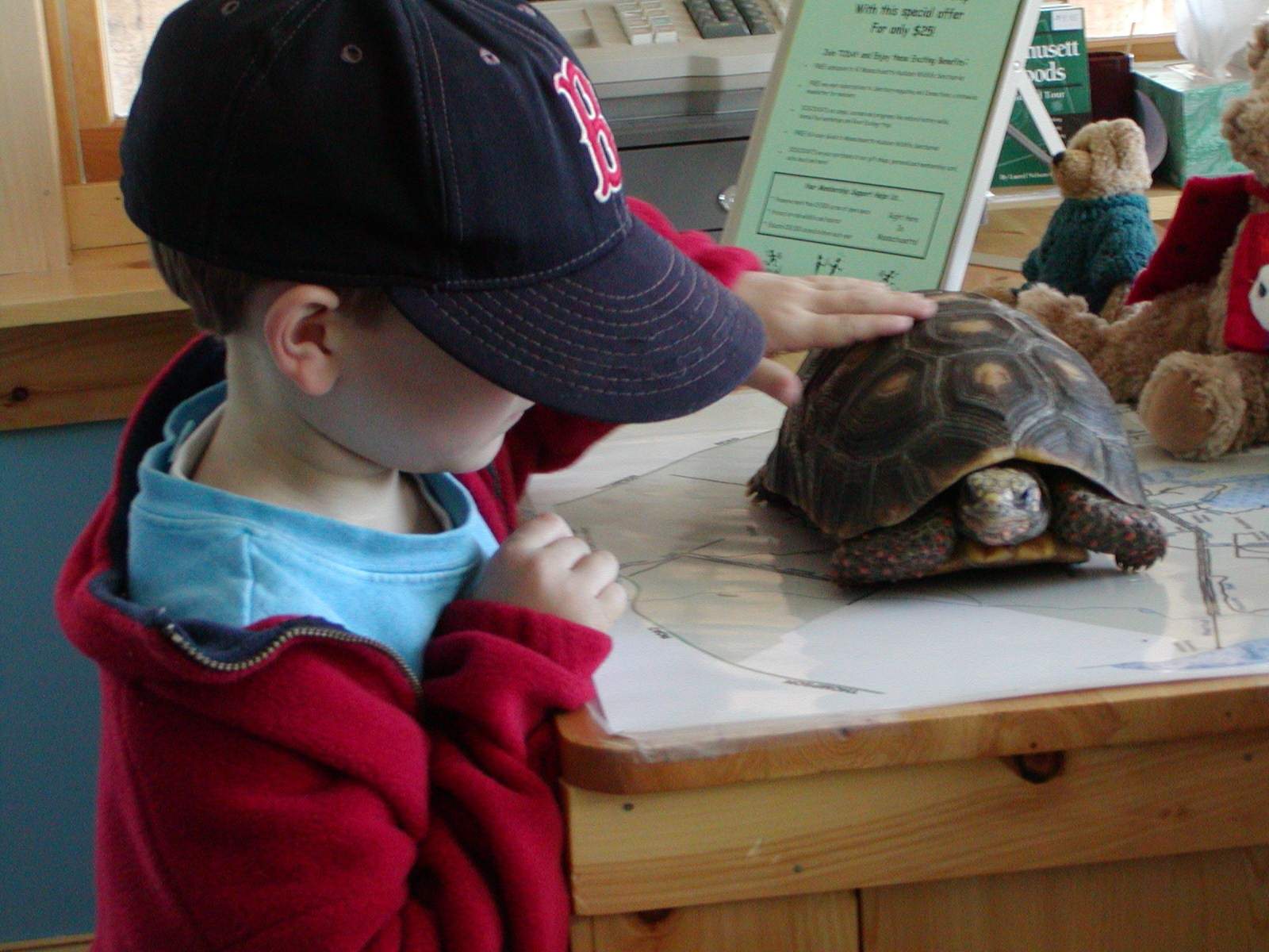 Child With Turtle