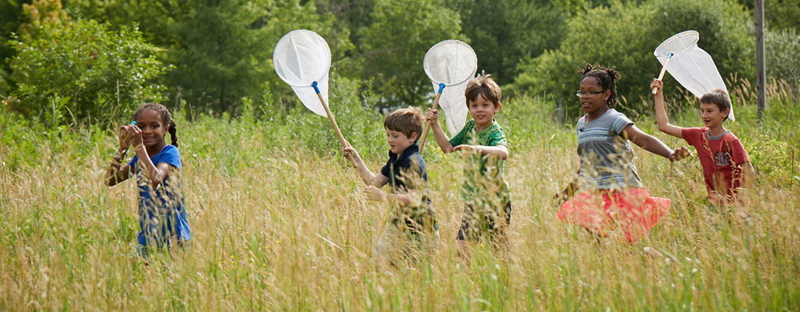 Campers exploring a meadow with insect nets at BNC