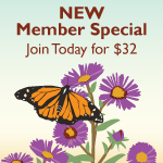 New Member Special - Join Today for $32