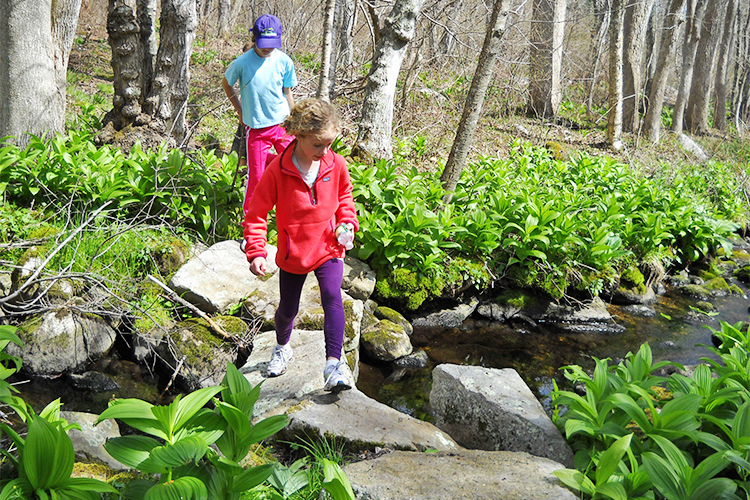 Kids hiking over a stream at Allens Pond