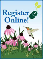 Spring Register Online