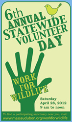 Work for Wildlife