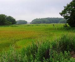 Rough Meadows, Rowley