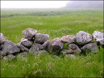 Stone Wall