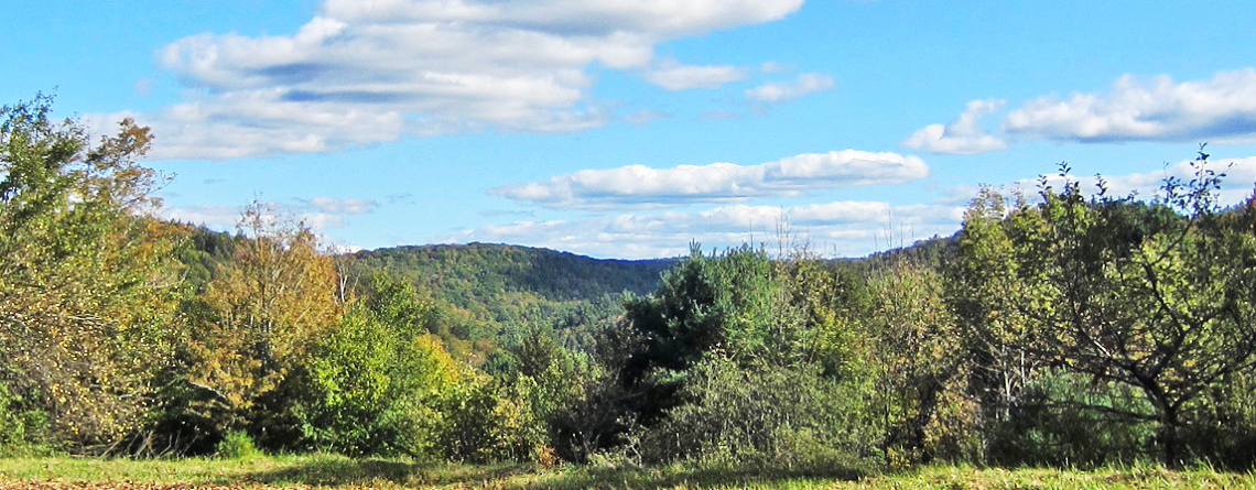 View of landscape around the Minery property in Western Mass