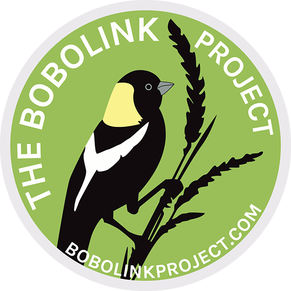 The Bobolink Project