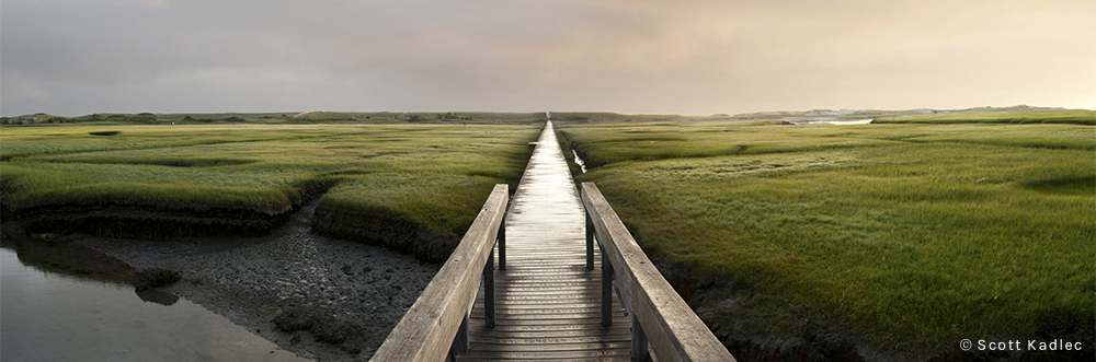 Marsh boardwalk at sunrise © Scott Kadlec