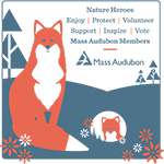 Mass Audubon Red Fox Grocery Bag
